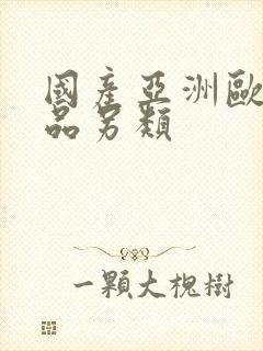 国产亚洲欧美精品另类