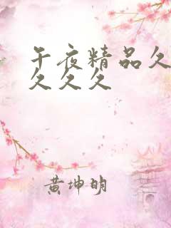 午夜精品久久久久久久