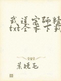 武道宗师精校版txt全本下载