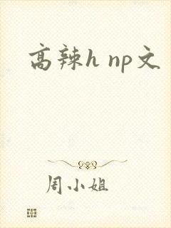 高辣h np文
