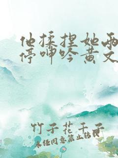 他揉捏她两乳不停呻吟黄文