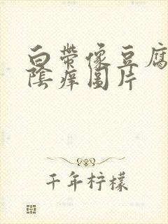 白带像豆腐渣外阴痒图片