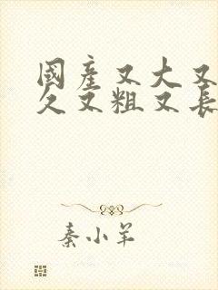 国产又大又圆又久又粗又长又黄的视频