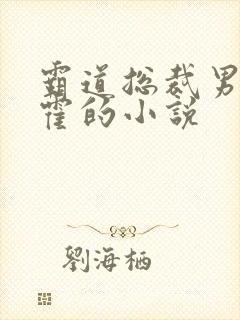 霸道总裁男主姓霍的小说