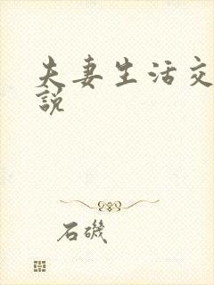 夫妻生活交换小说