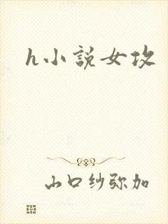 h小说女攻