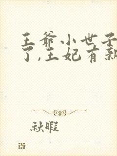 王爷小世子别追了,王妃有新崽了