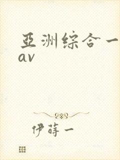 亚洲综合一区二av