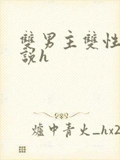 双男主双性人小说h