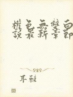 权色无双白洁小说最新章节