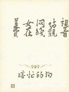美女网站视频免费在线观看