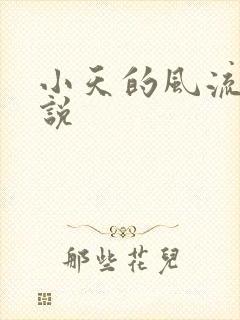 小天的风流史小说