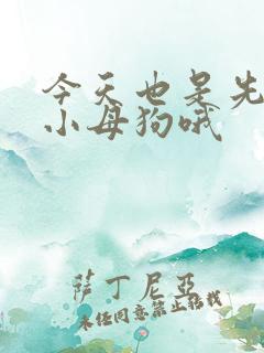 今天也是先生的小母狗哦