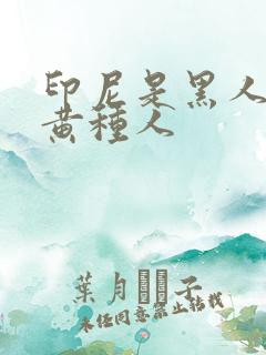 印尼是黑人还是黄种人