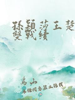 孙颖莎王楚钦混双战绩