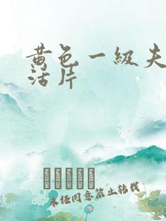 黄色一级夫妻生活片