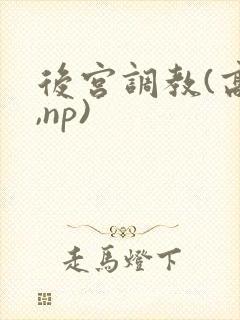 后宫调教(高h,np)