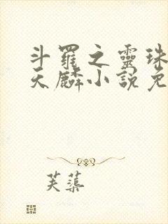 斗罗之灵珠神剑天麟小说免费阅读无弹窗