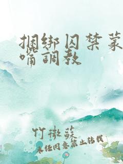 捆绑囚禁蒙眼封嘴调教