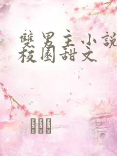 双男主小说推荐校园甜文