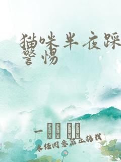 猫咪半夜踩奶要警惕