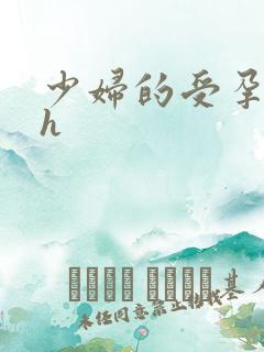 少妇的受孕日常h