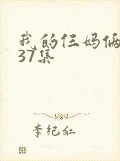 我的仨妈俩爸第37集