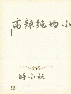 高辣纯肉小说bl
