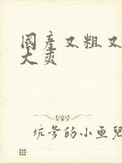 国产又粗又硬又大爽