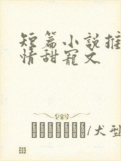短篇小说推荐言情甜宠文