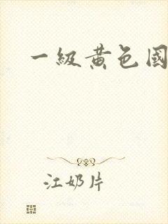 一级黄色国大片