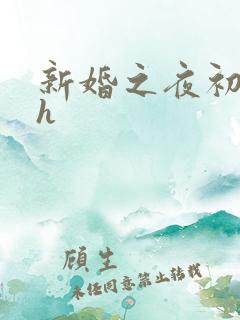 新婚之夜初次高h