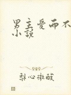 男主爱而不得的小说