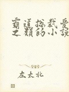 霸道总裁爱上我之类的小说名字