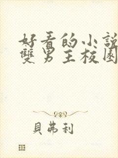 好看的小说推荐双男主校园文