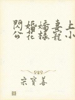 闪婚娇妻上司老公花样宠小说,免费阅读