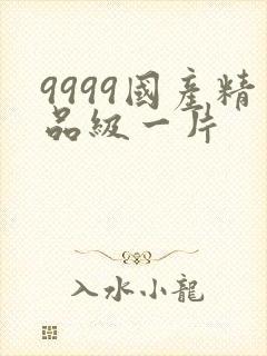9999国产精品级一片