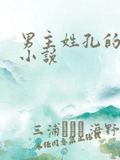 男主姓孔的现代小说