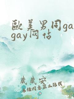 欧美男同gaygay网站