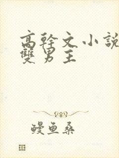 高干文小说推荐双男主