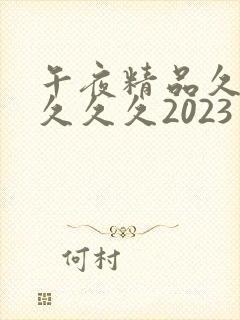 午夜精品久久久久久久2023