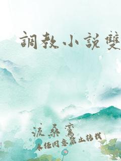 调教小说双男主