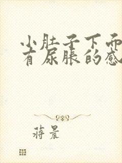 小肚子下面好像有尿胀的感觉