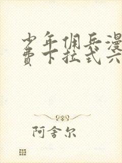 少年佣兵漫画免费下拉式六漫画