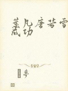 叶凡唐若雪一起成功