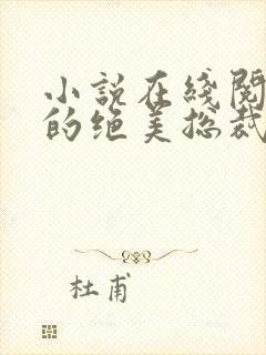 小说在线阅读我的绝美总裁老婆