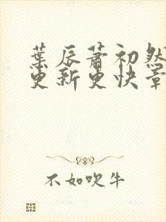 叶辰萧初然刚刚更新更快章节