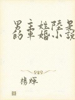 男主姓陆是首长的军婚小说