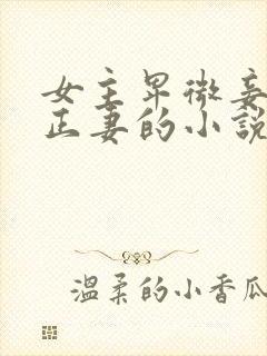 女主卑微妾伺候正妻的小说