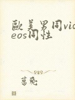 欧美男同videos同性